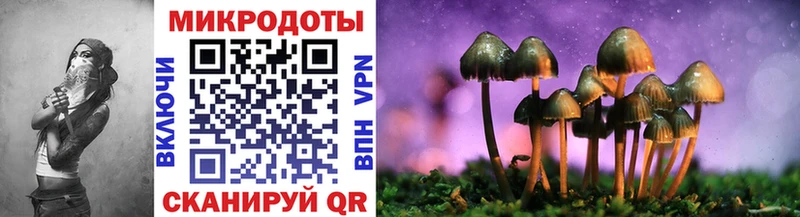 Галлюциногенные грибы Psilocybe  Уржум 